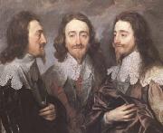 Anthony Van Dyck Charles I in Three Positions (mk25) USA oil painting reproduction